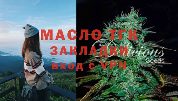 мдпв Володарск