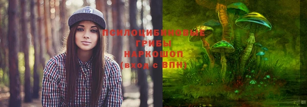 ГАЛЛЮЦИНОГЕННЫЕ ГРИБЫ Волоколамск