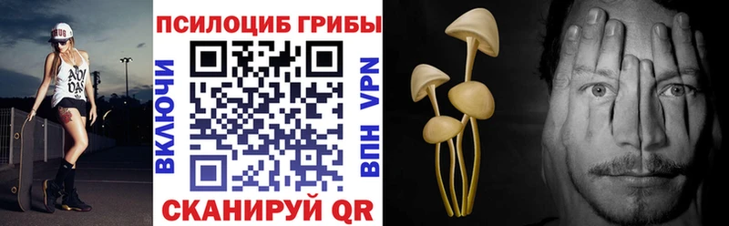 Галлюциногенные грибы GOLDEN TEACHER  Судогда 